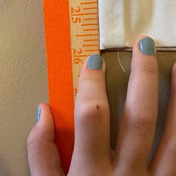 J. Jill Stretch Pants Size 16 Petite Off-White Business Casual Cotton Blend - Picture 7 of 10